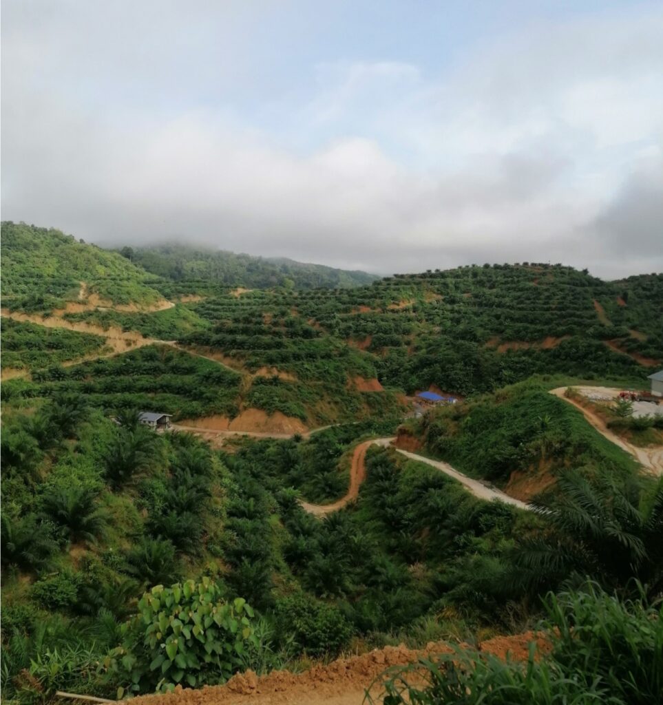 Ladang Sg Siput